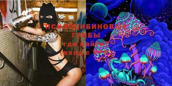 стаф Гусев